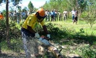 Working for water image