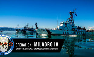 operation milagro.jpg