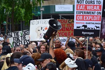 Protest Animal Rights March Rally Signs.jpg