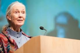 Jane Goodall