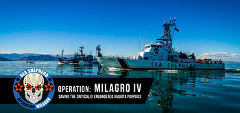 operation milagro.jpg