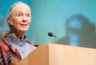 Jane Goodall